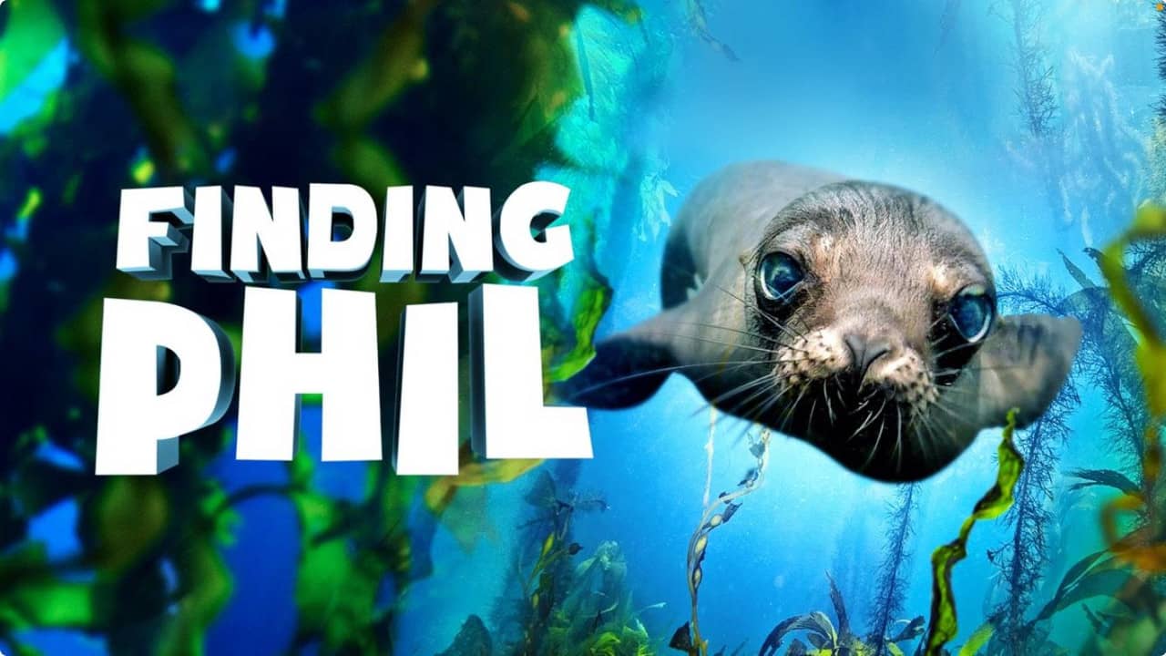 Finding Phil backdrop