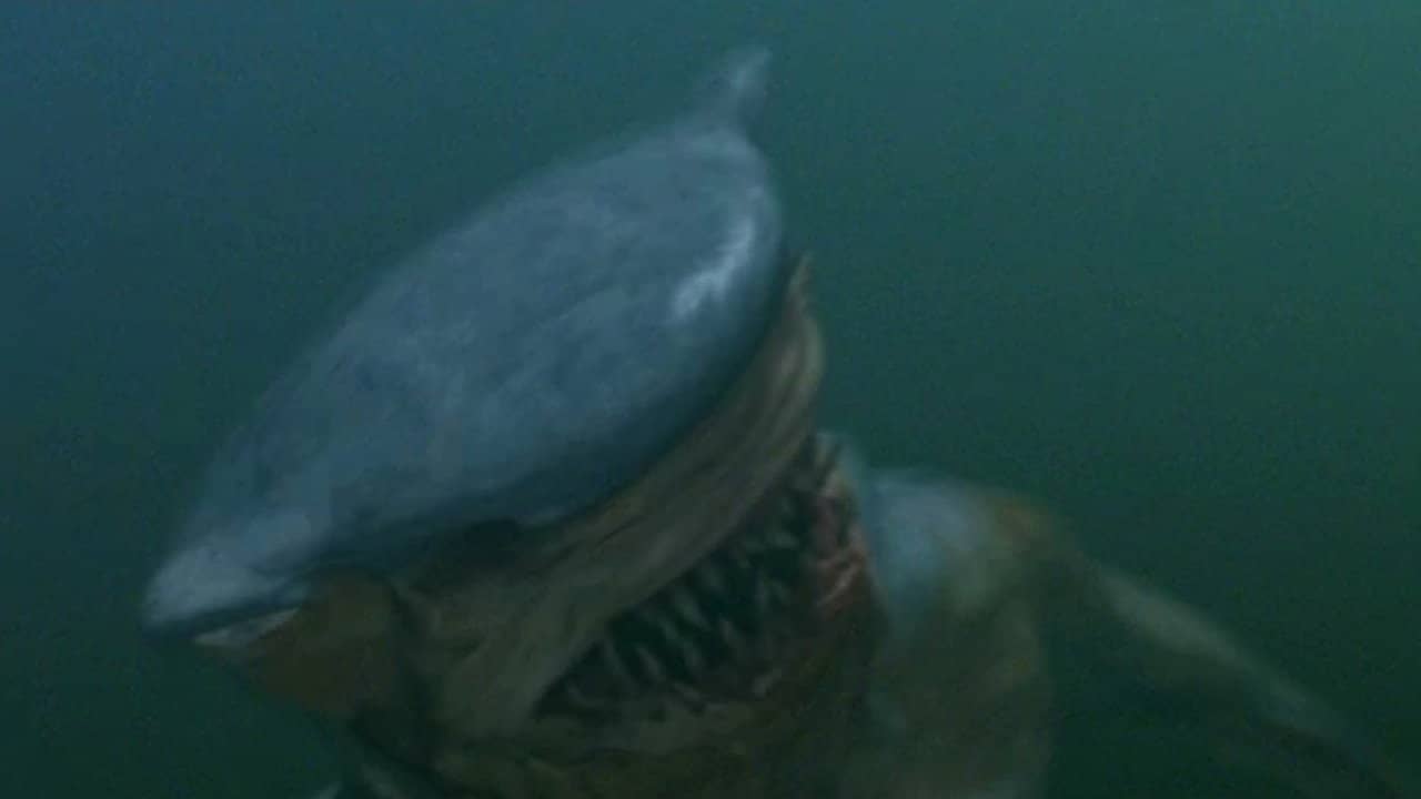 Hammerhead backdrop