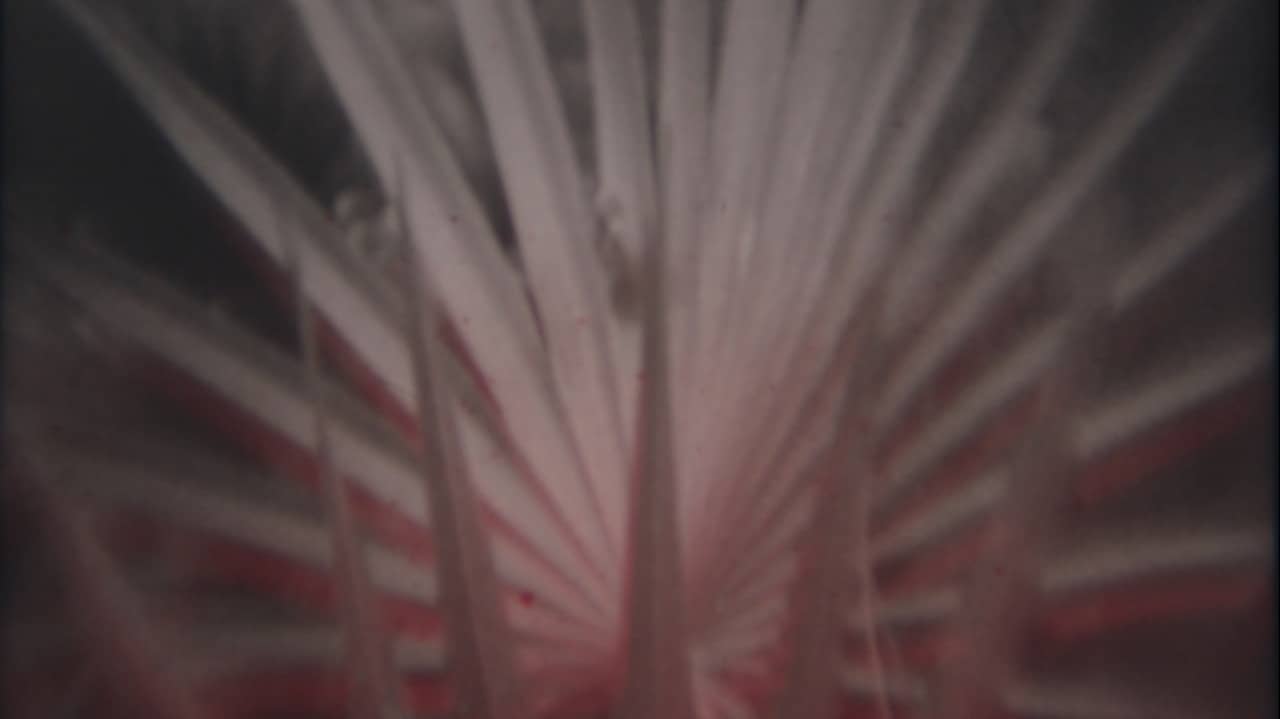 Nowhere Fast backdrop