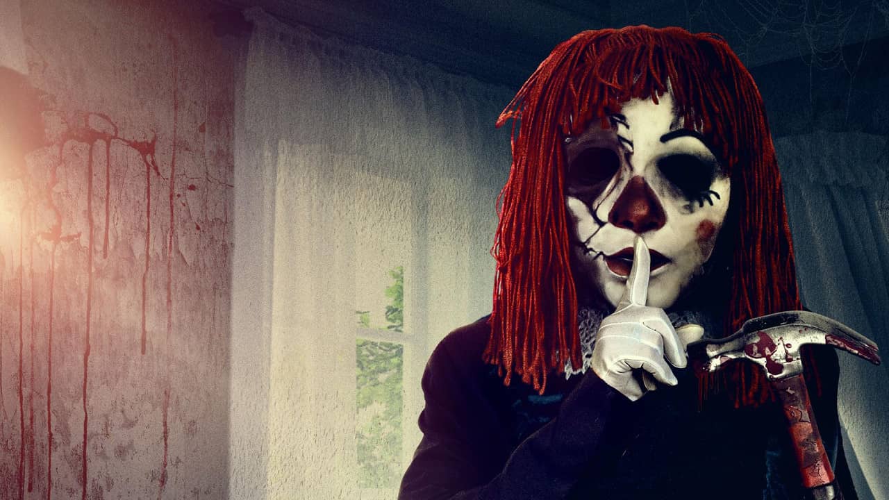 Ragdoll backdrop