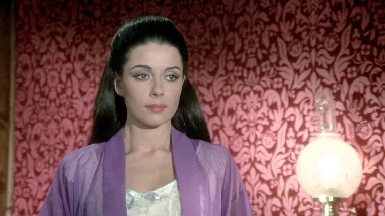 Killer 77, Alive or Dead backdrop
