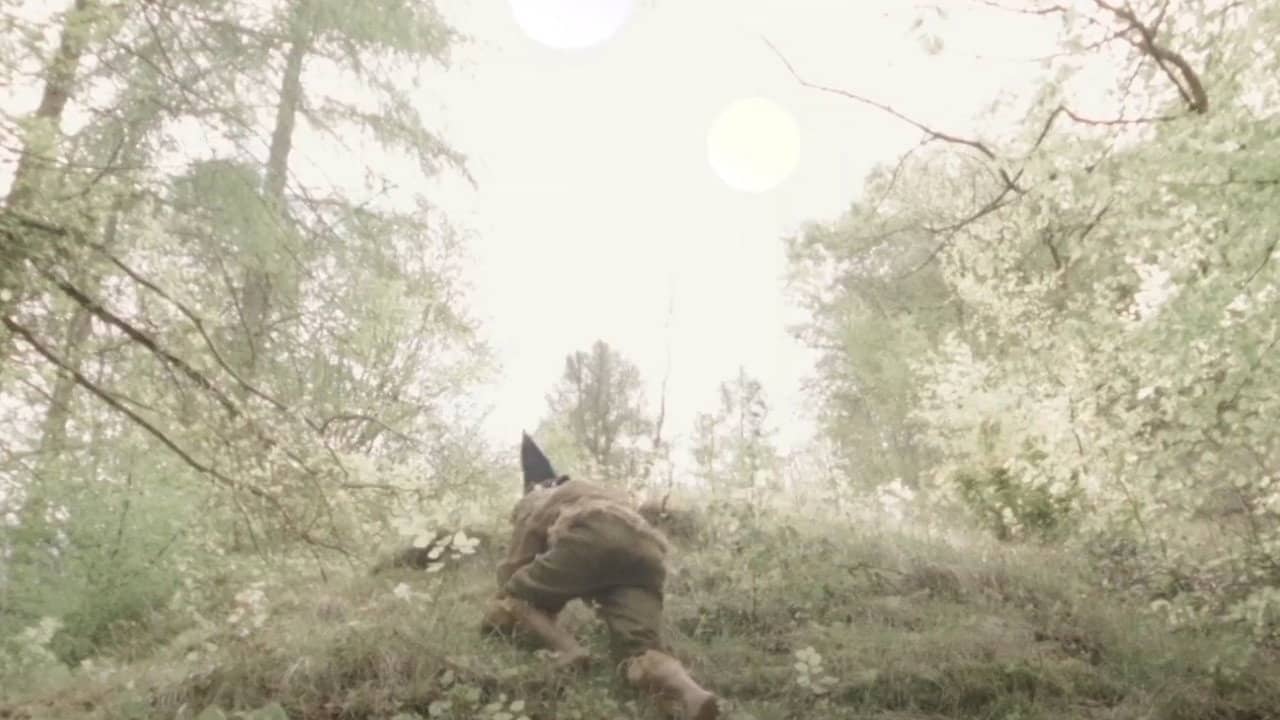 Rover of Meadow's Advent backdrop