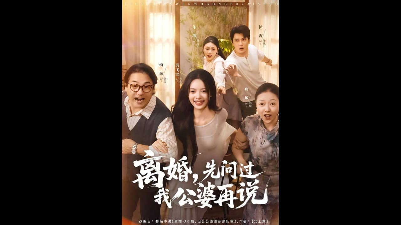 离婚,先问过我公婆再说 backdrop