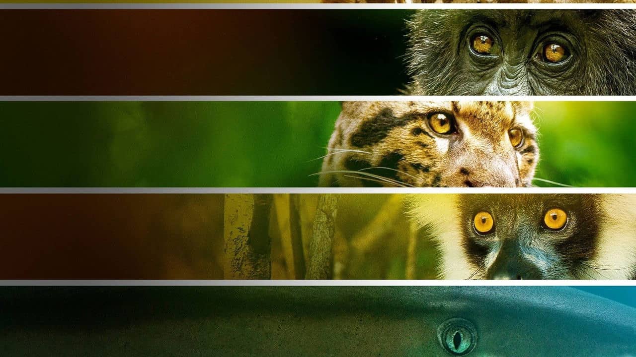 Endangered backdrop