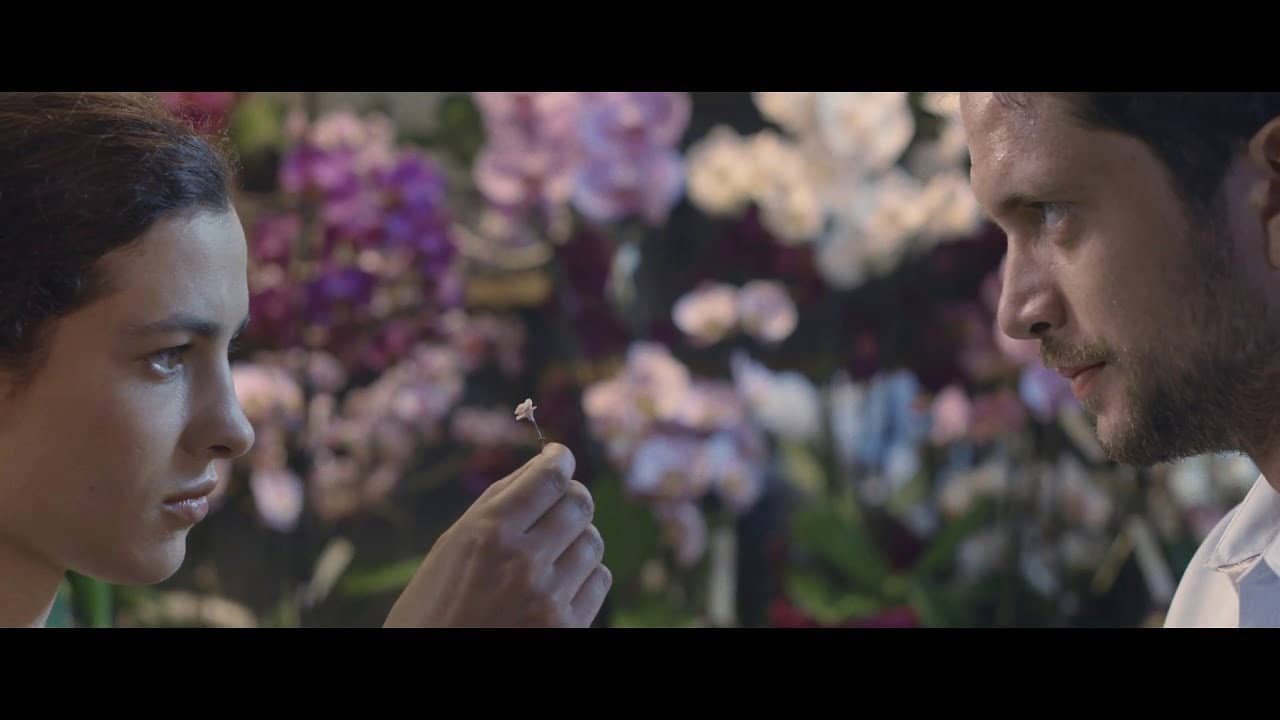 The Infinite Garden backdrop