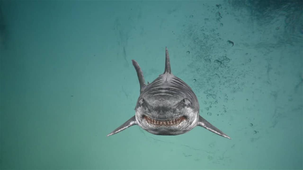Jurassic Shark 2: Aquapocalypse backdrop