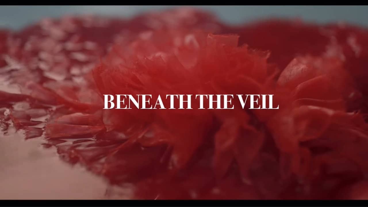 Beneath the Veil backdrop
