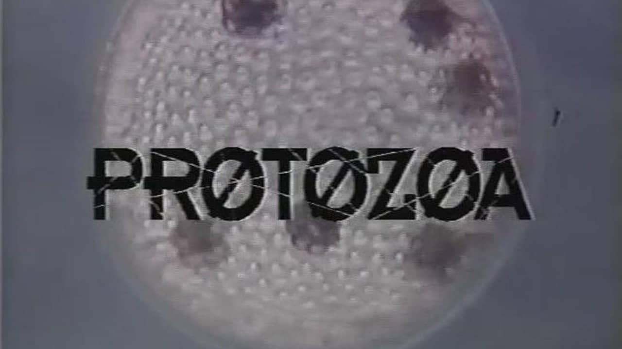 Protozoa backdrop
