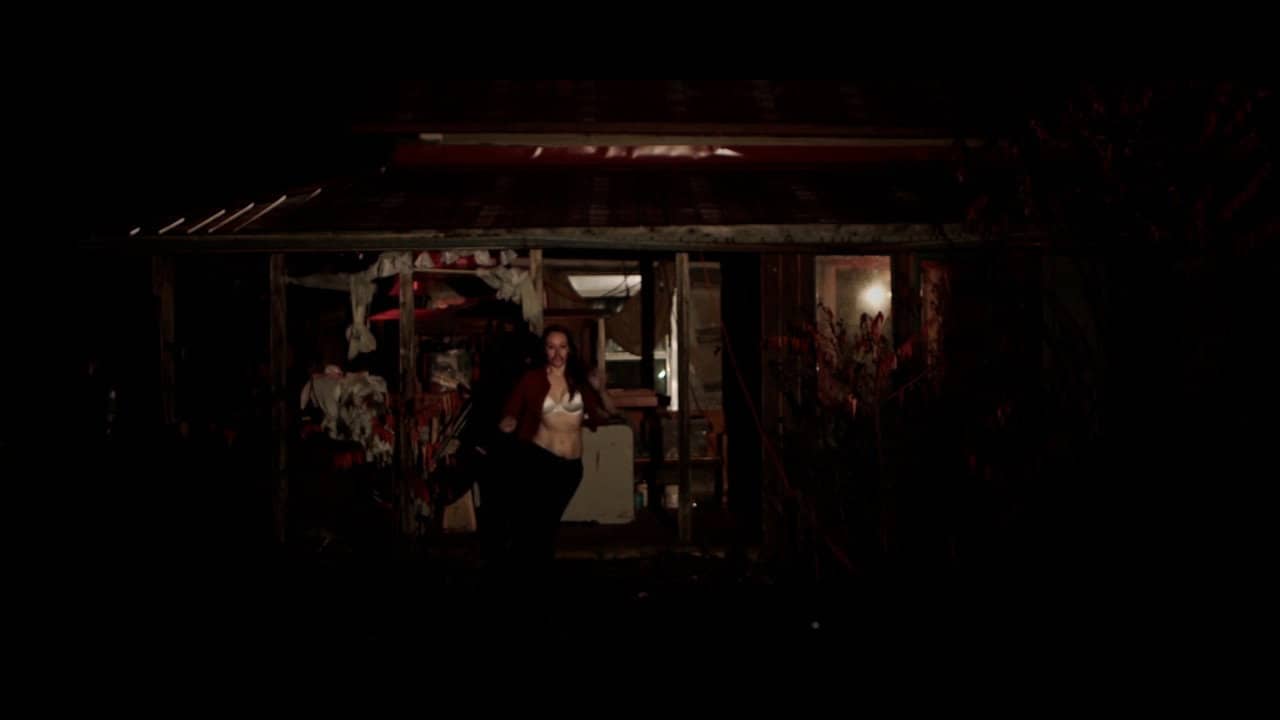 Horror and Hamsters backdrop