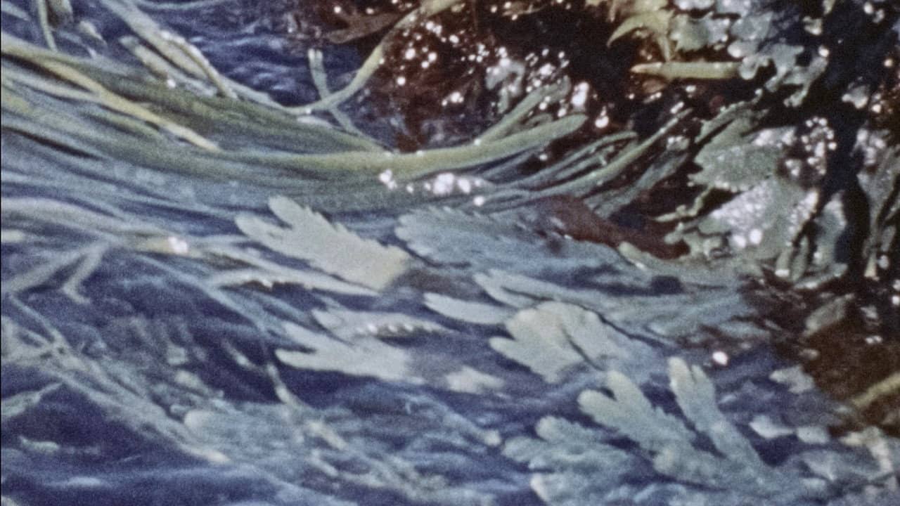 Waves backdrop
