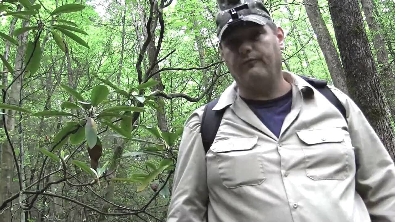 Bigfoot Still Tracking a Legend backdrop