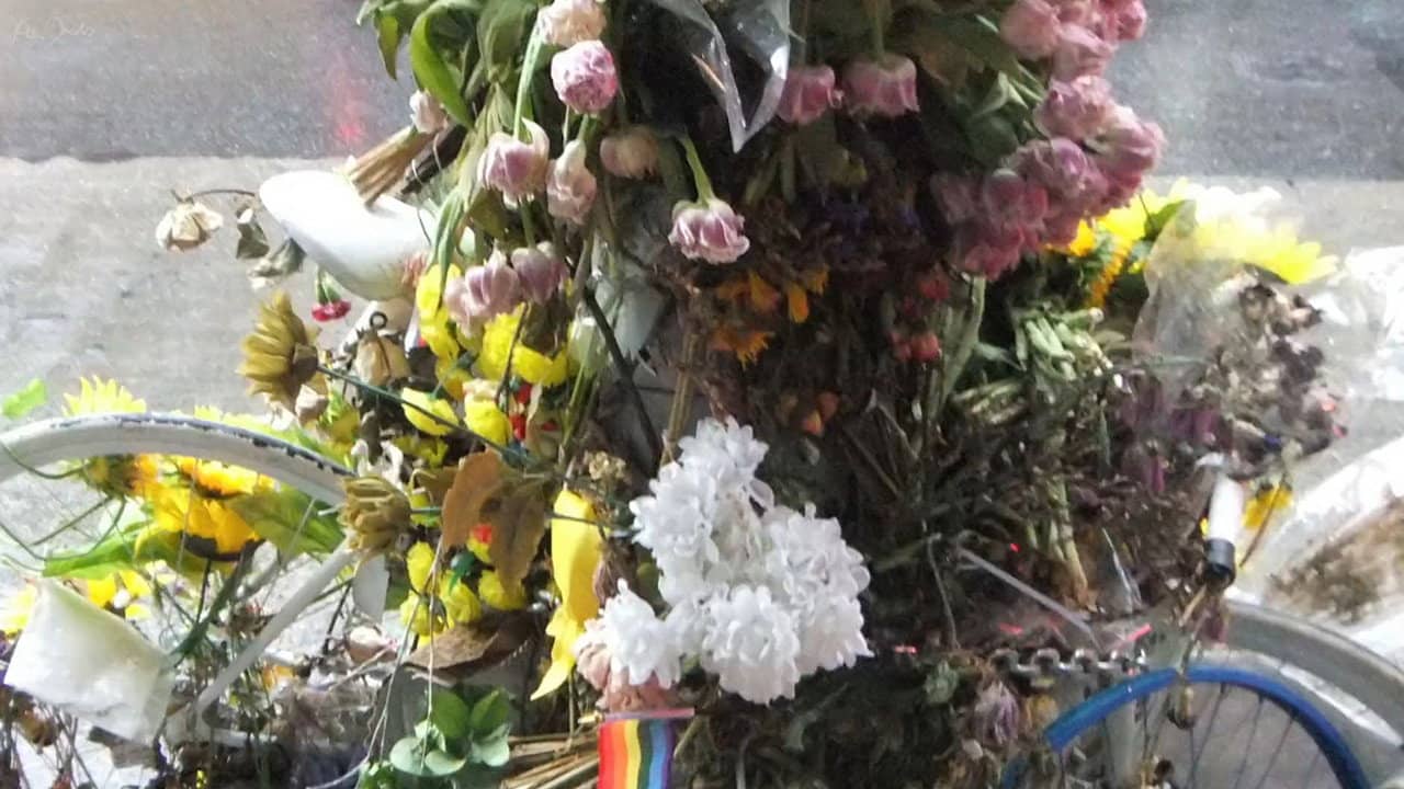 Flowers and Bike backdrop