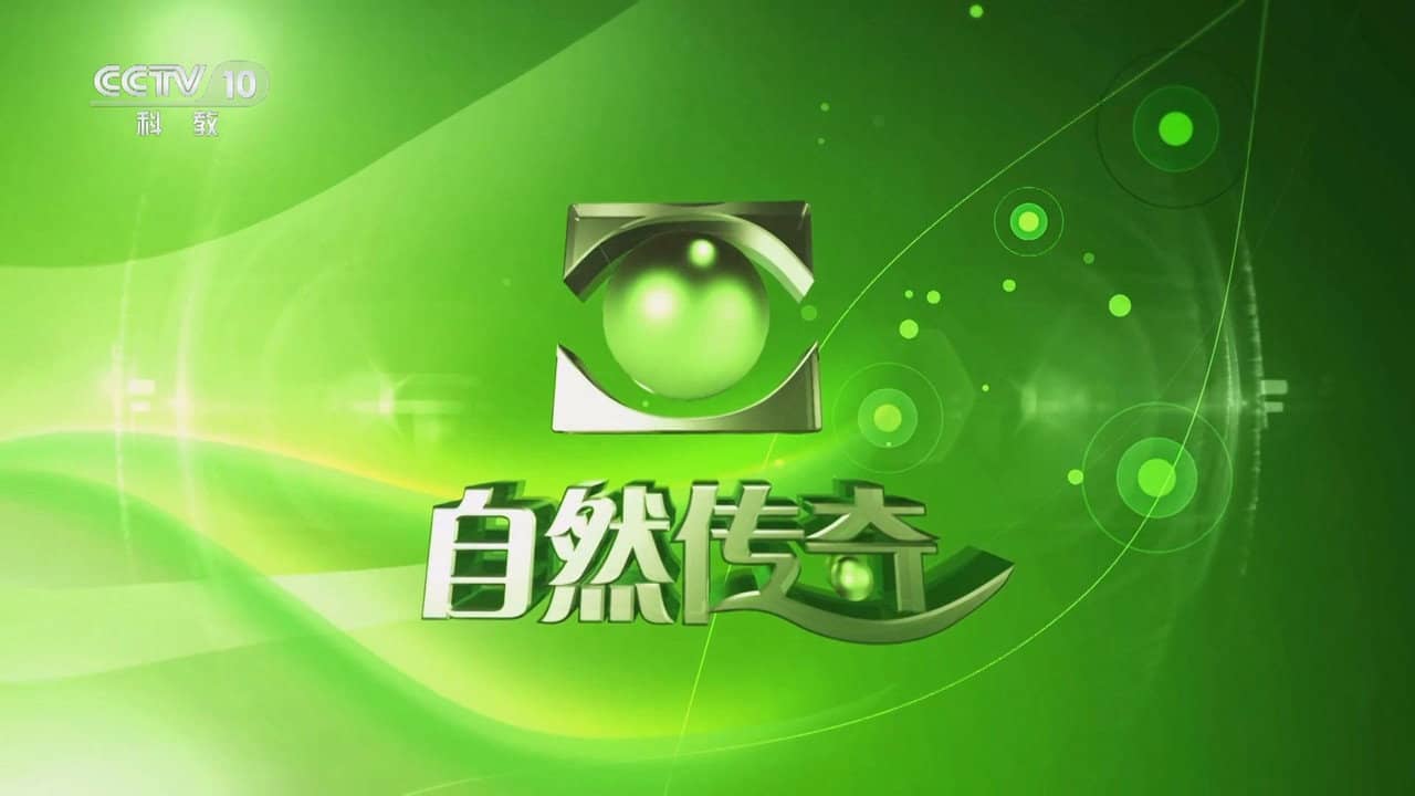 自然传奇 backdrop