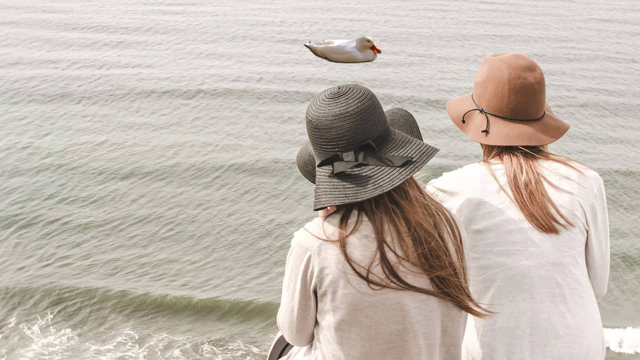2 Girls, 1 Duck backdrop