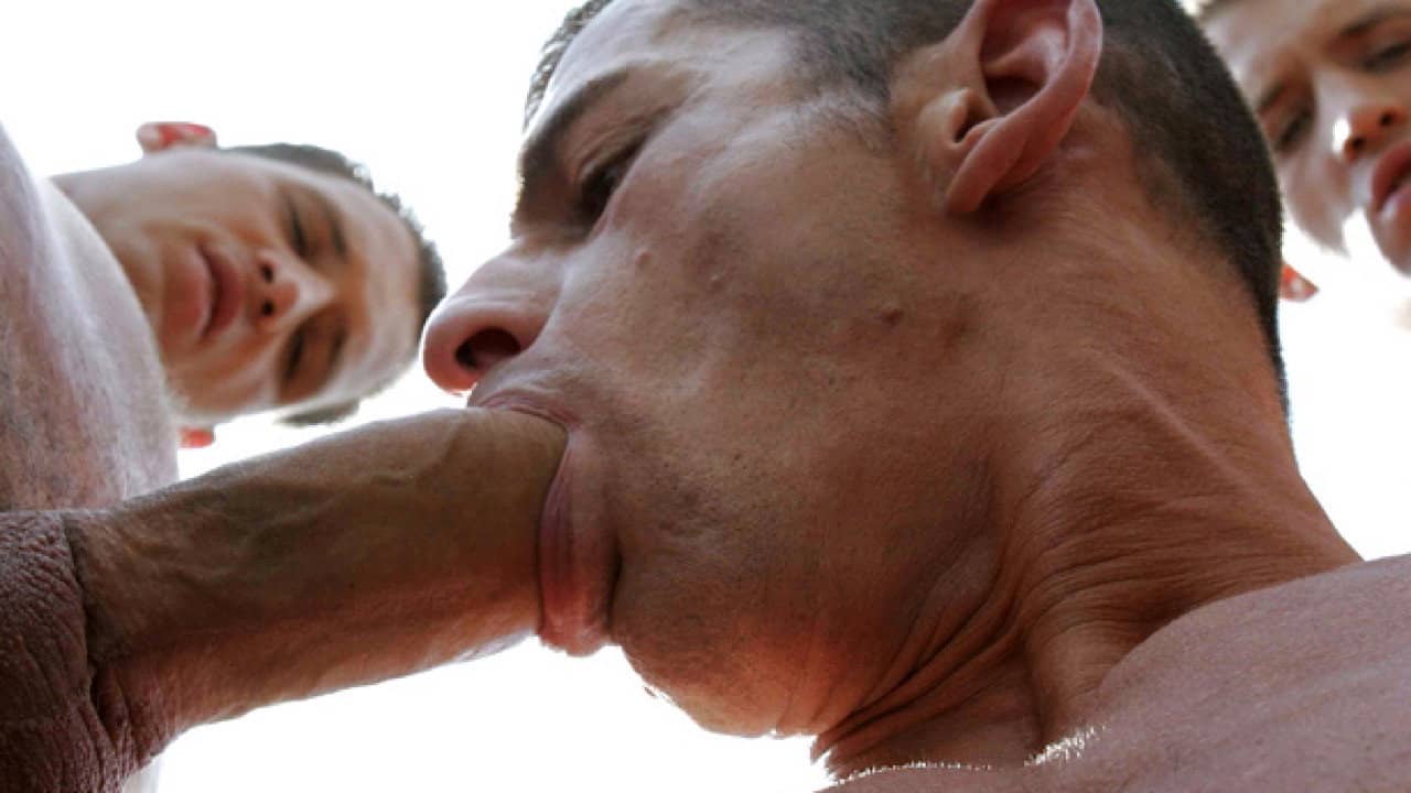Breeding The Twinks 9 backdrop