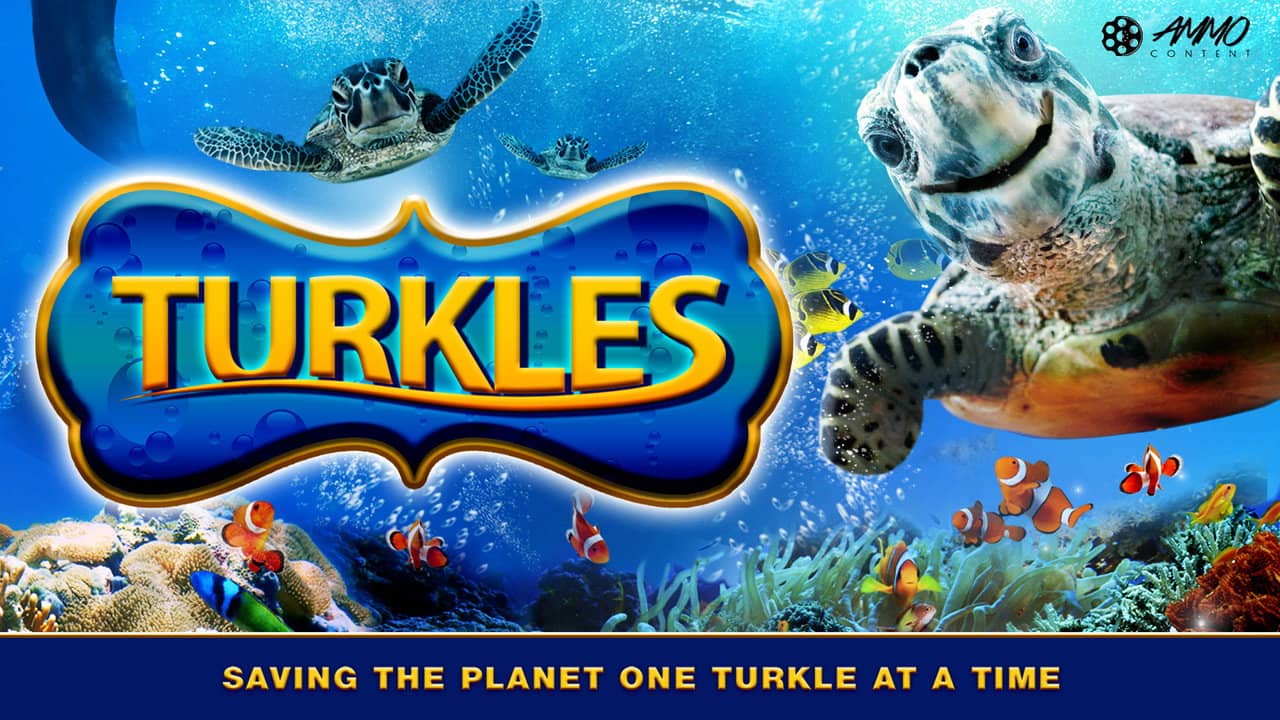 Turkles backdrop