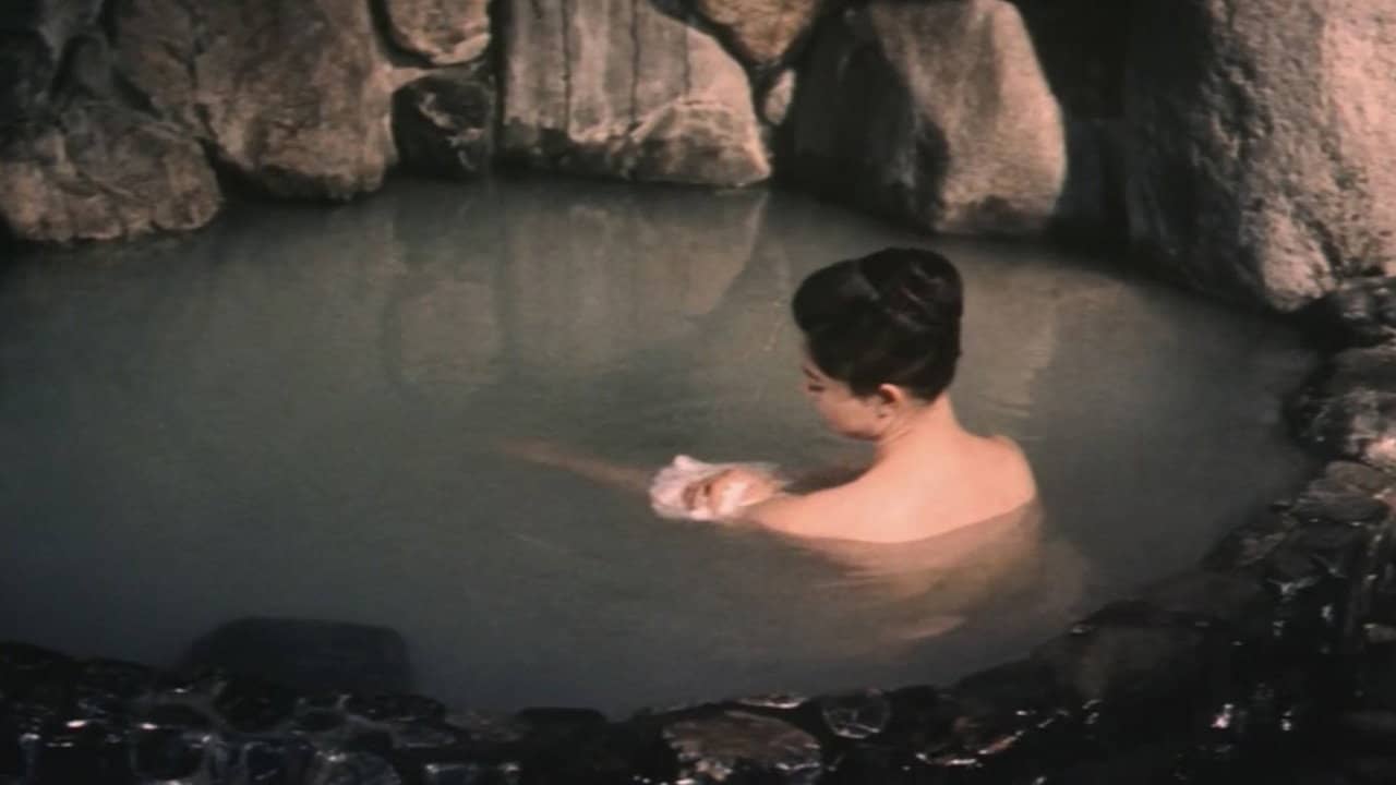 Akitsu Hot Springs backdrop