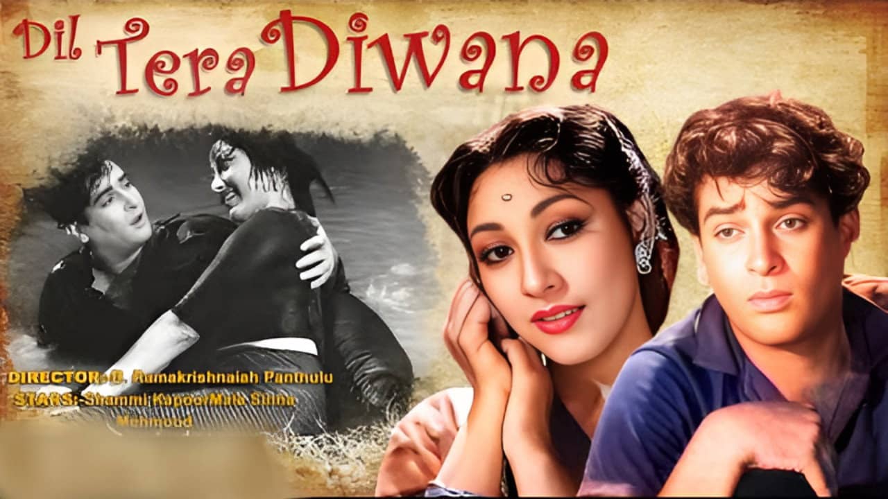 Dil Tera Diwana backdrop