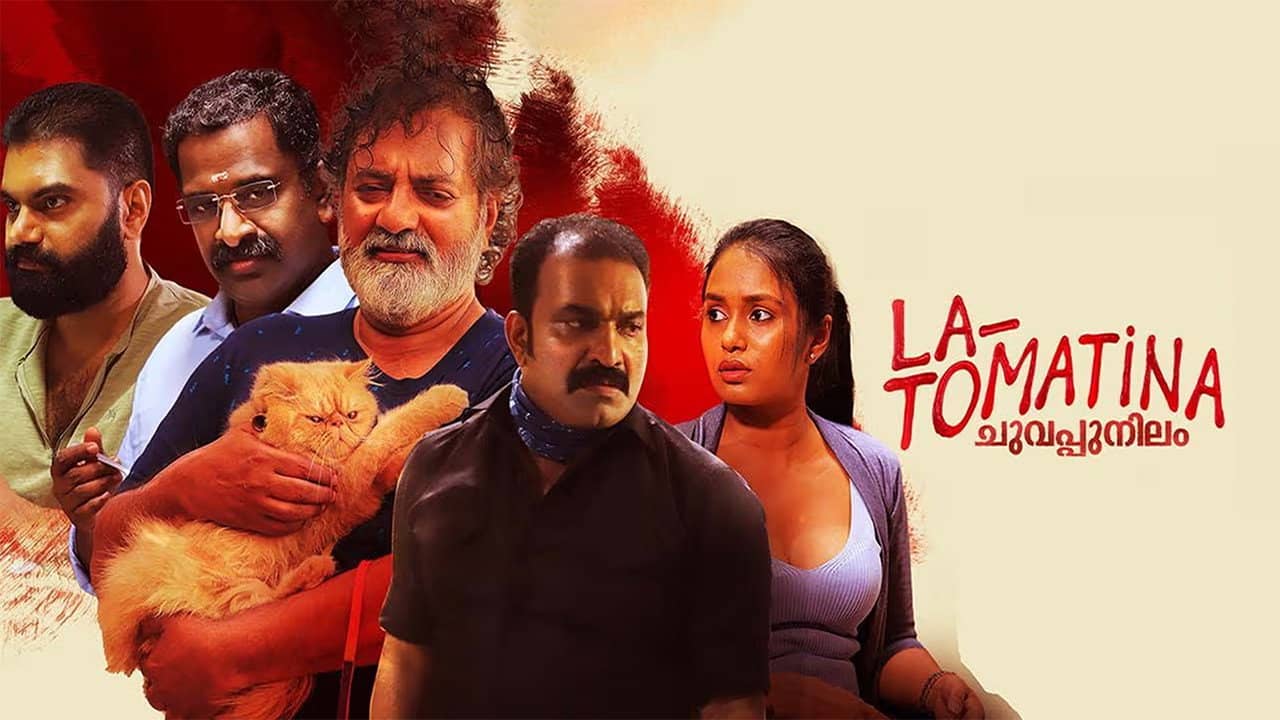 La - Tomatina backdrop