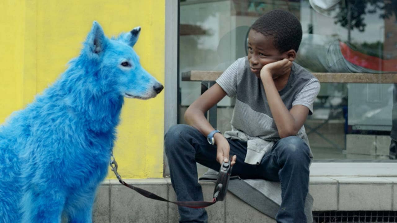 Blue Dog backdrop