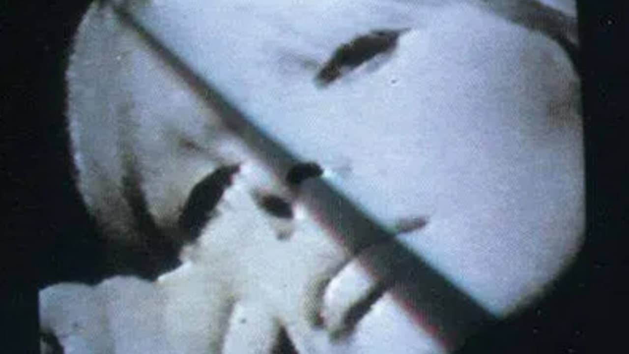 Nico: In Memoriam backdrop