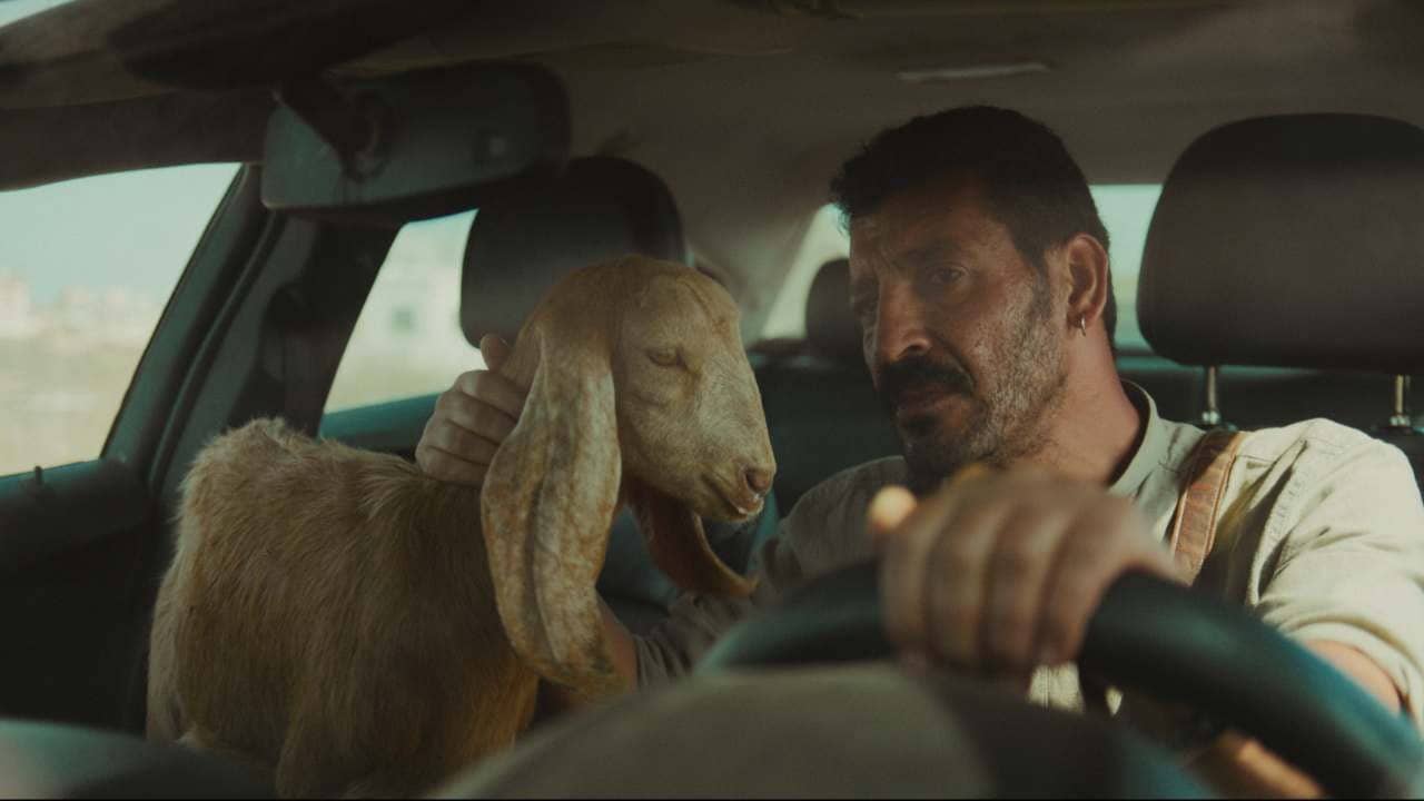 Qaher backdrop