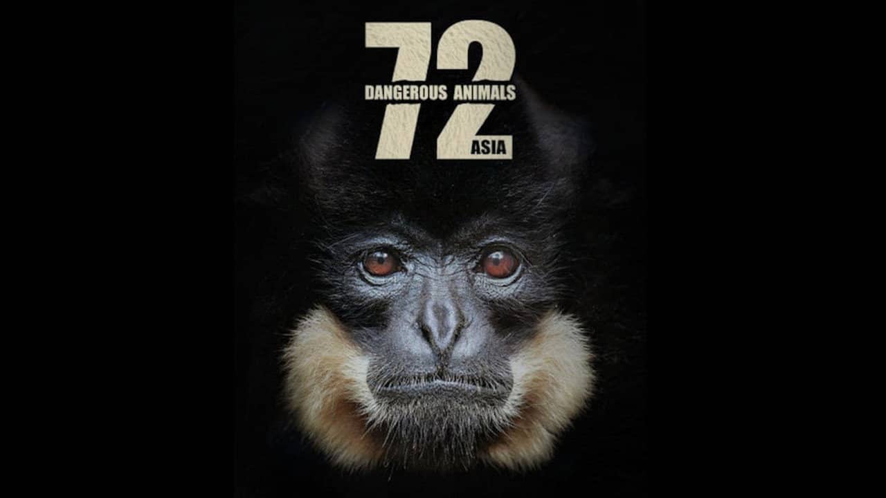 72 Dangerous Animals: Asia backdrop