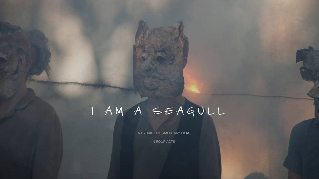 I Am a Seagull backdrop