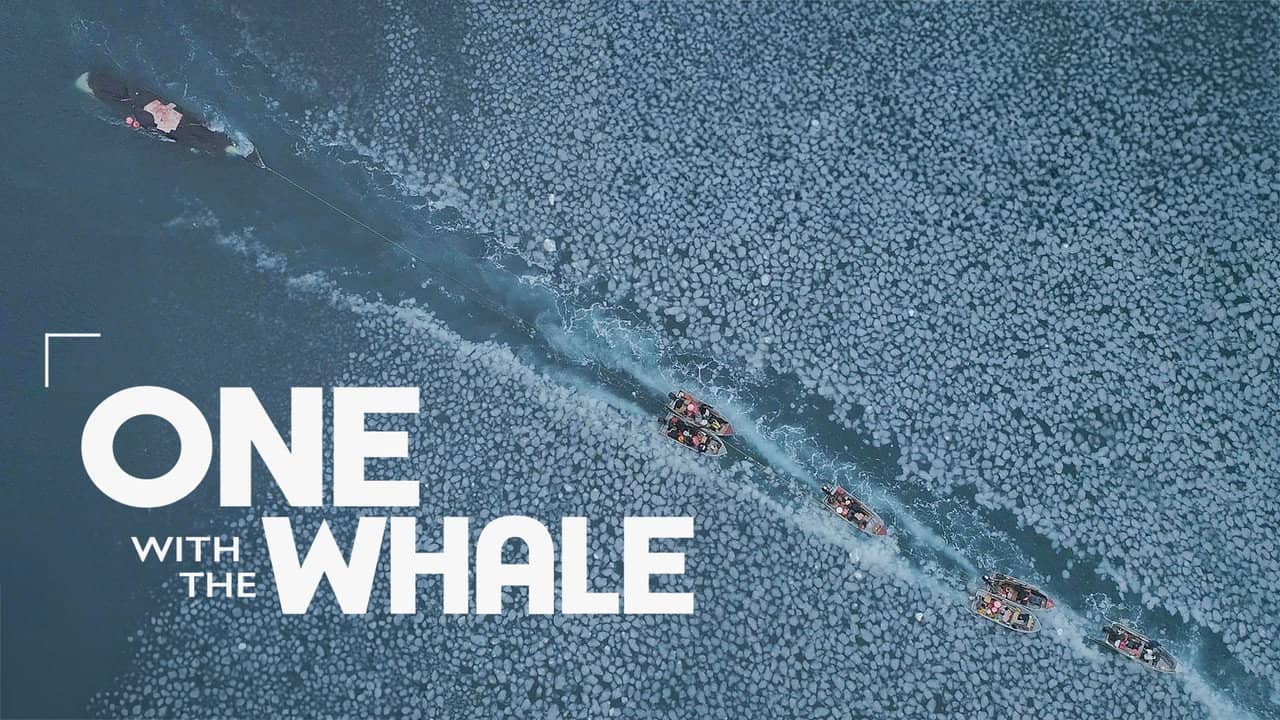 One with the Whale backdrop