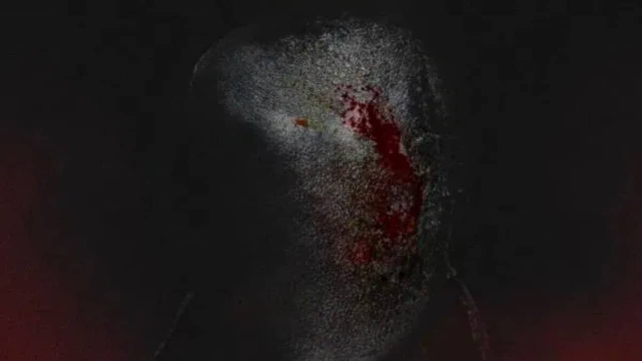 Secret of Slenderman: New Nightmare backdrop