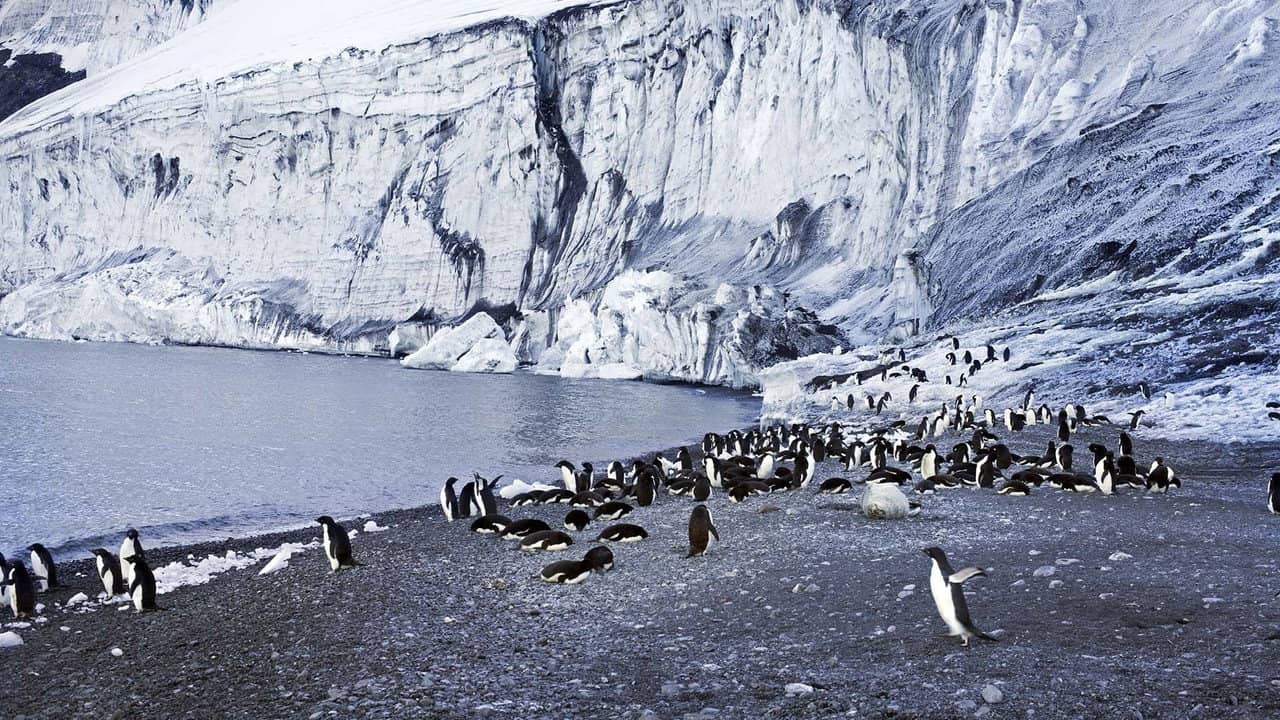 Antarctica: The Frozen Time backdrop