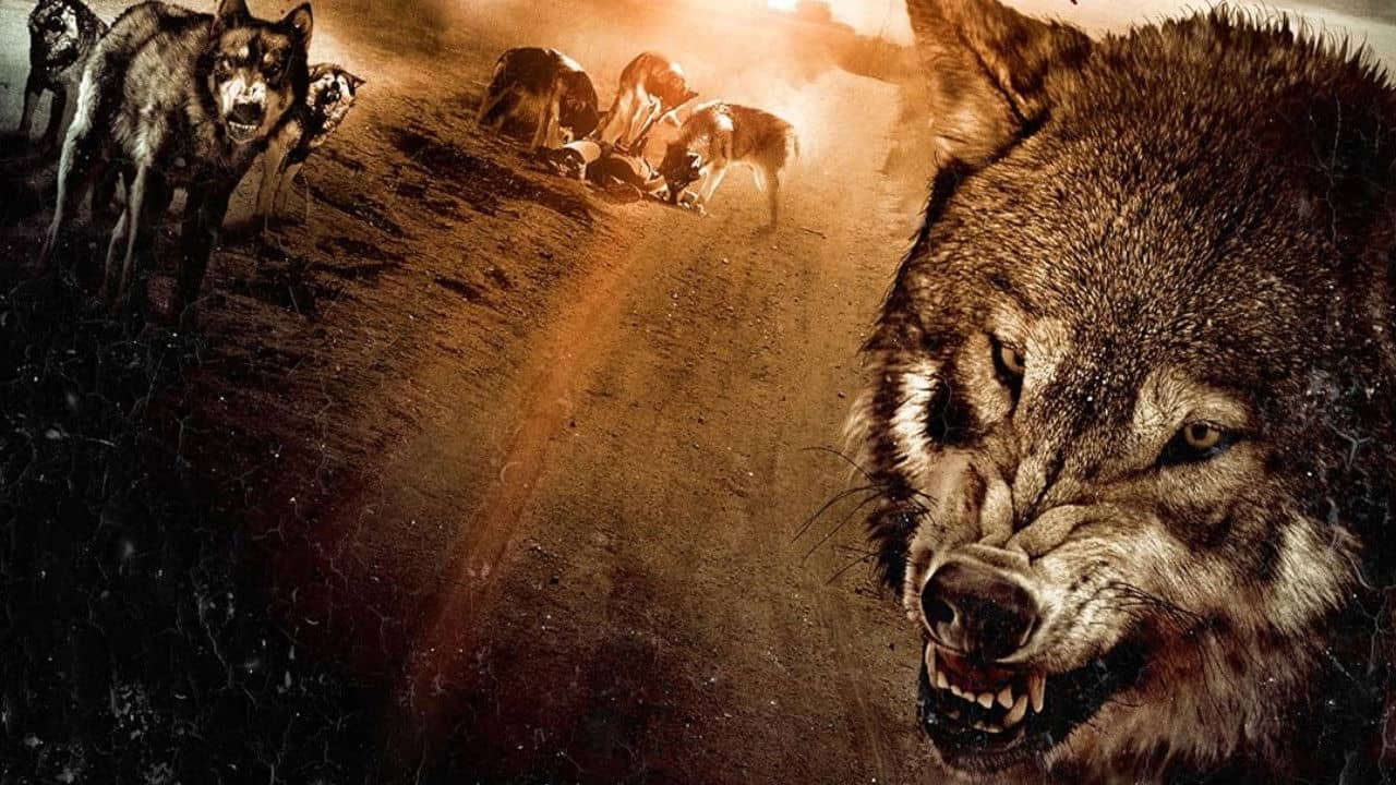 Wolf Town backdrop