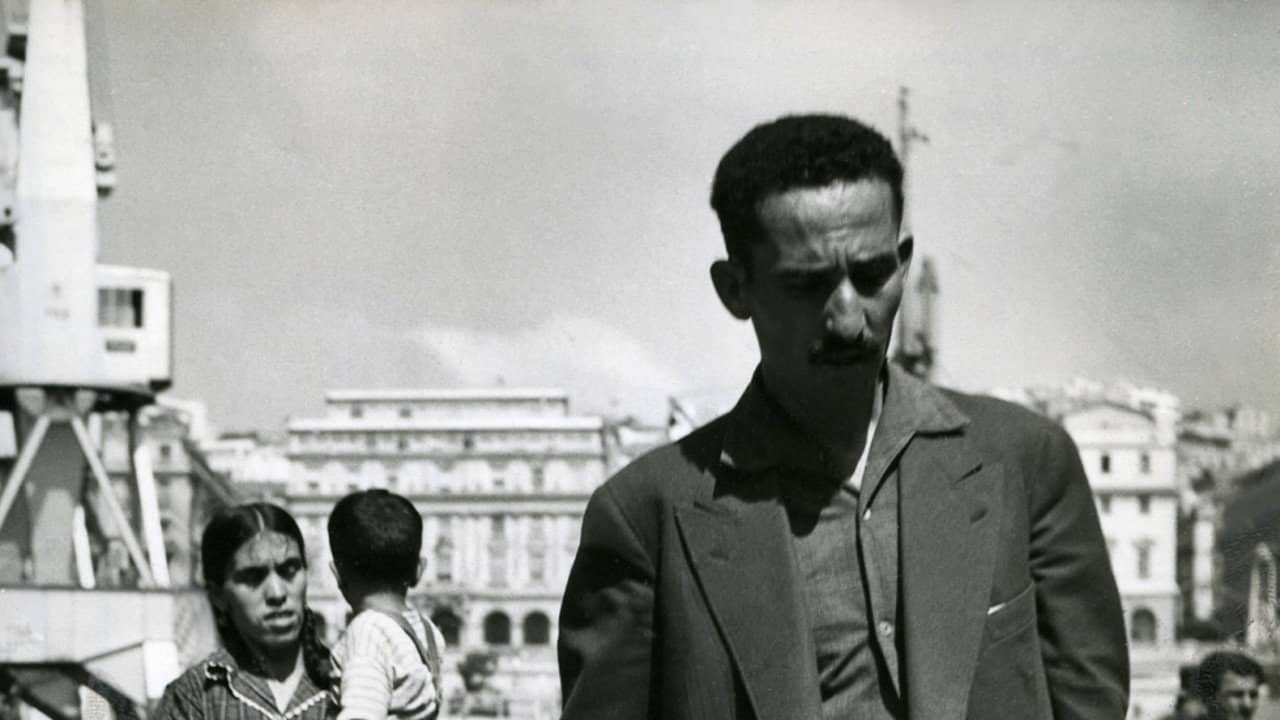 An Unhealed Wound - The Harkis in the Algerian War backdrop