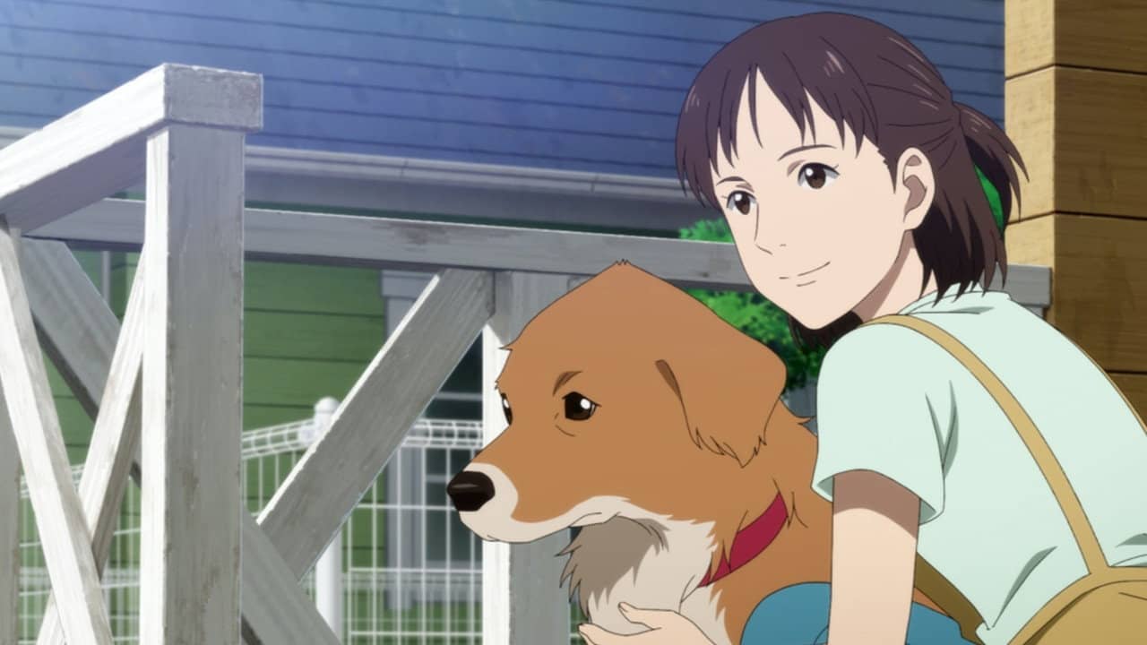 Pointy-Headed Gonta: The Story of the Two-Named Dog in the Fukushima Disaster backdrop