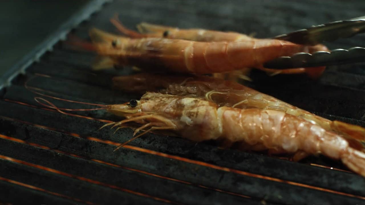 Prawn backdrop