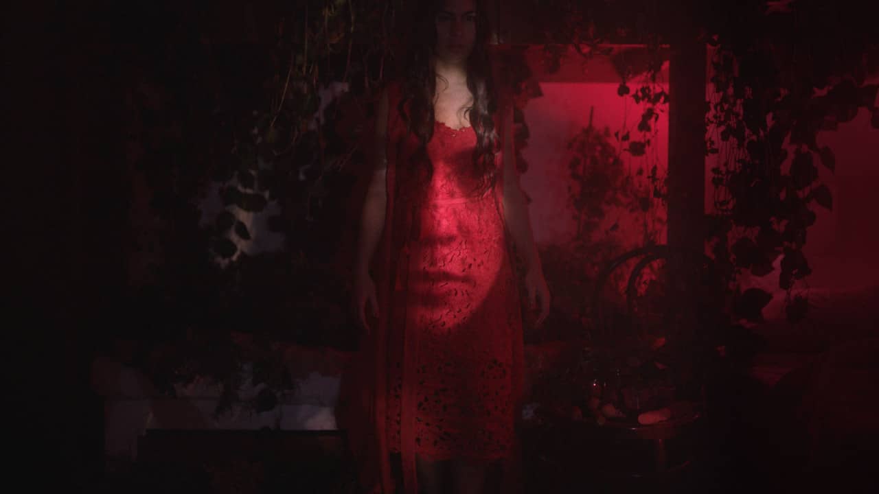 Difference & Repetition, 2020 backdrop