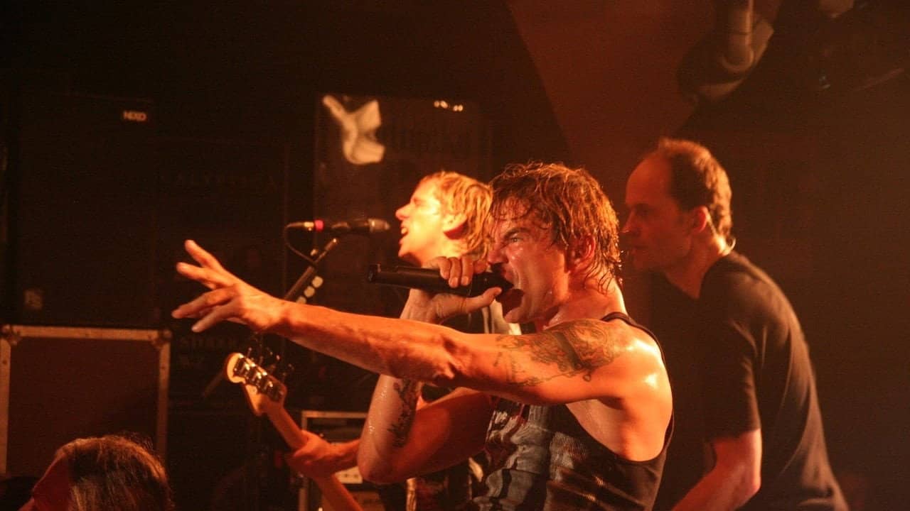 Die Toten Hosen Live - Der Krach der Republik - Das Tourfinale backdrop