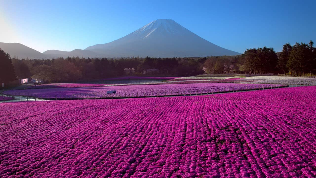 Japan from Above backdrop