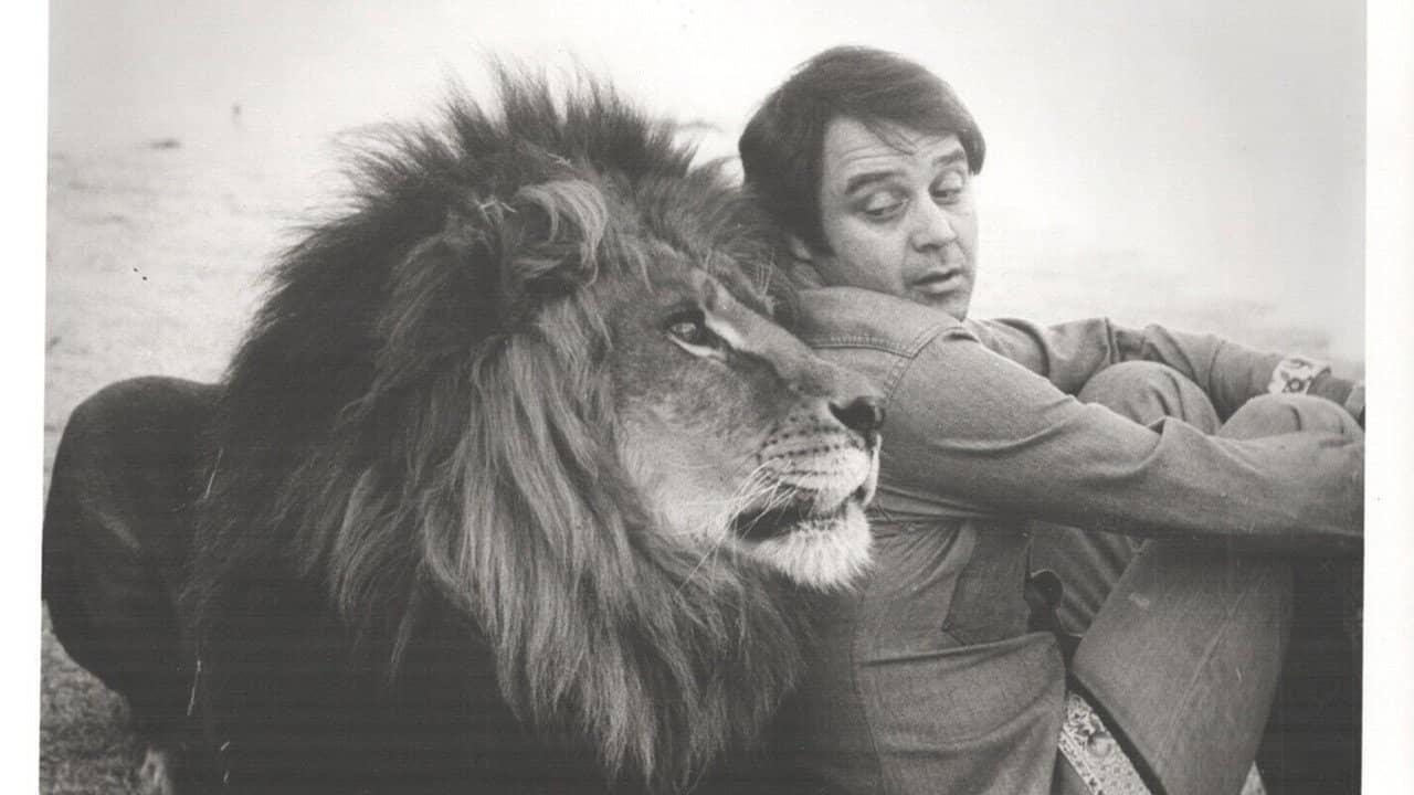 Frasier, the Sensuous Lion backdrop