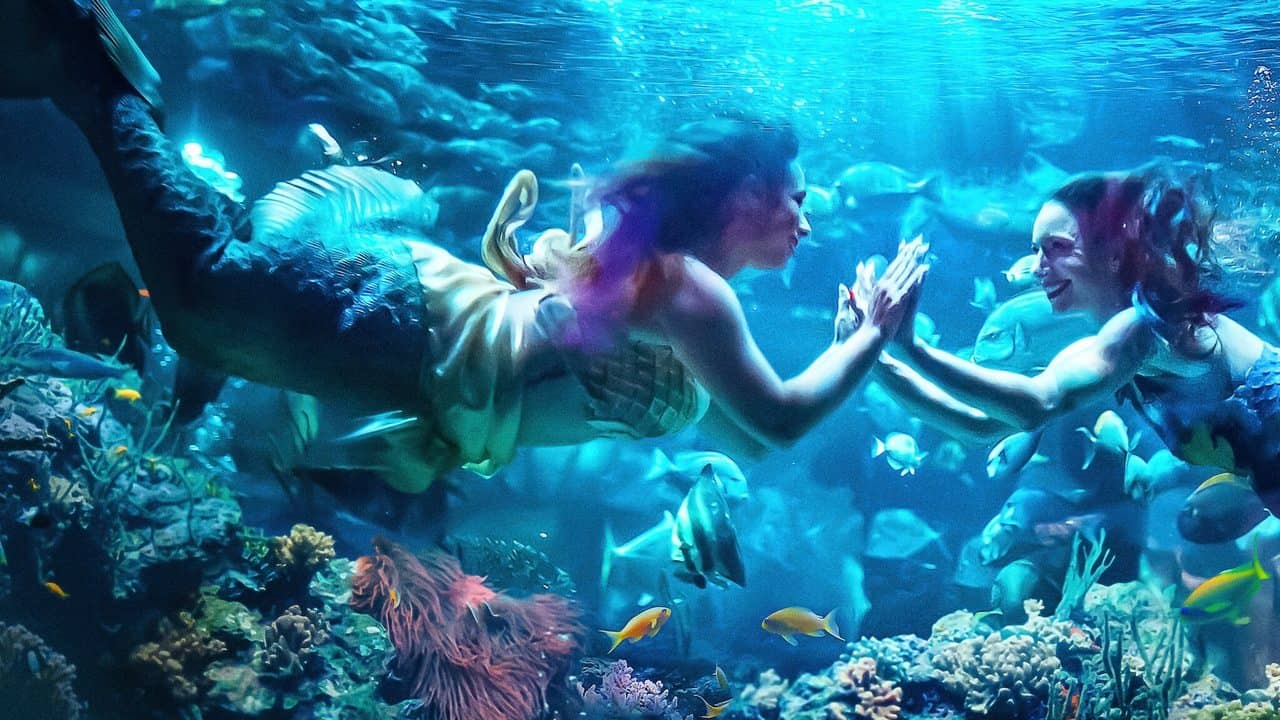 MerPeople backdrop