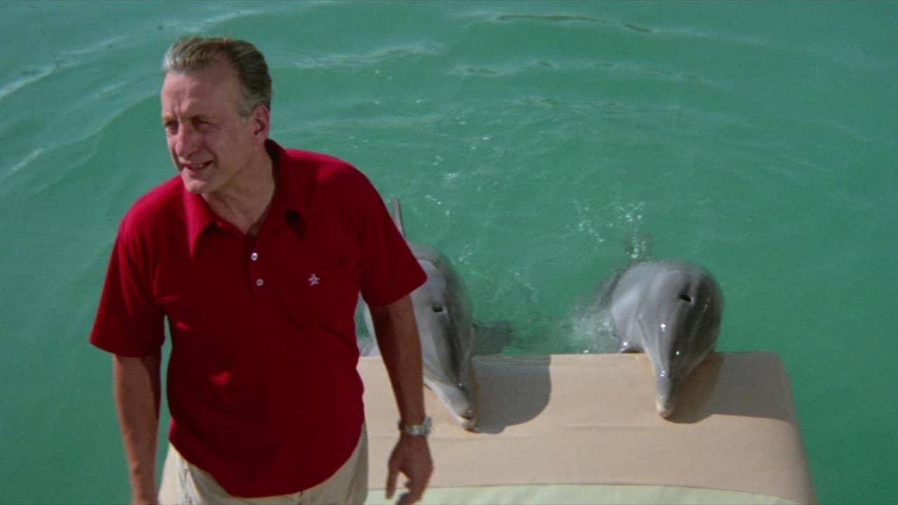 The Day of the Dolphin backdrop