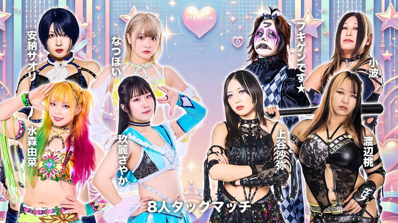 Stardom in Toyohashi 2025 backdrop