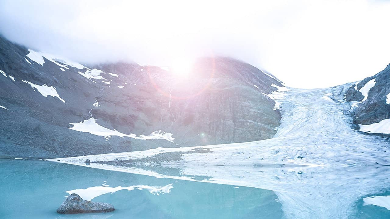 Climate Change on Trial backdrop