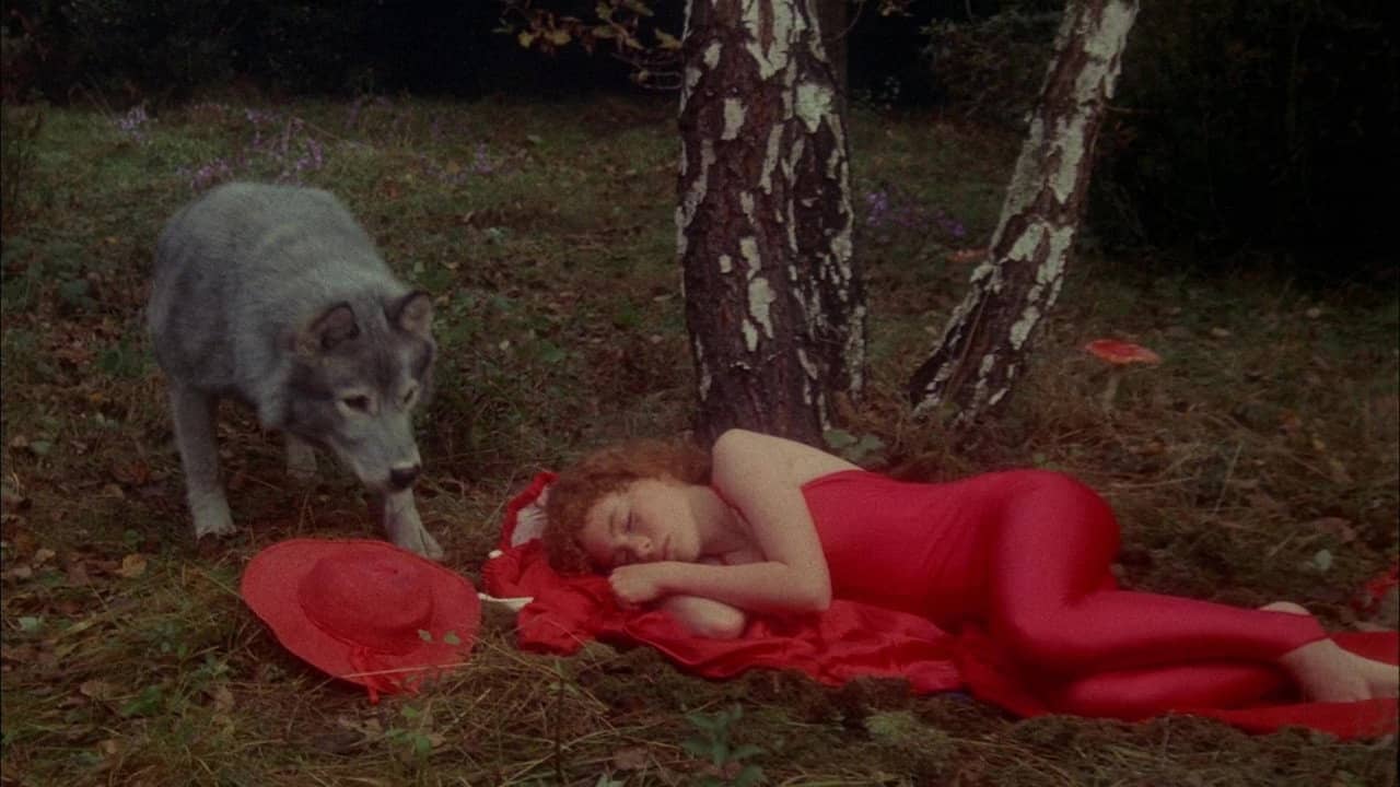 Bye Bye, Red Riding Hood backdrop