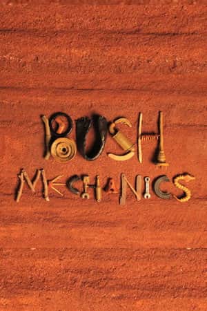 Bush Mechanics