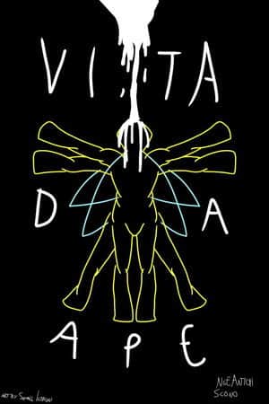 Vita Da Ape