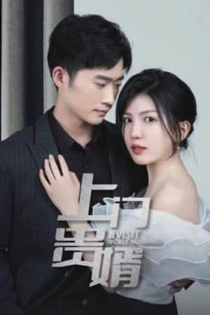 上门贵婿