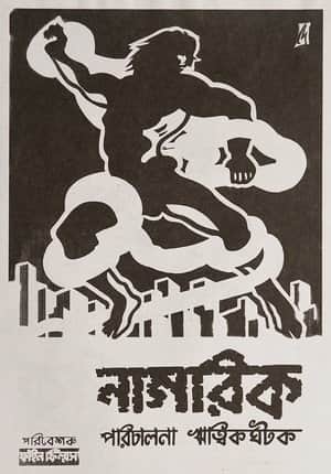 The Citizen