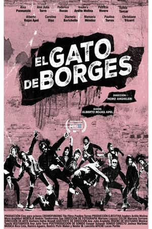 Borges’ Cat