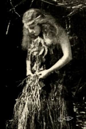 The Royal Slave